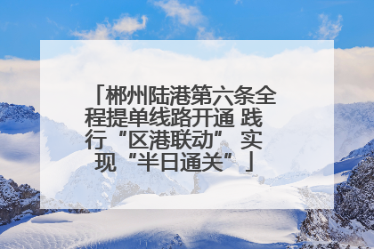 郴州陆港第六条全程提单线路开通 践行“区港联动” 实现“半日通关”