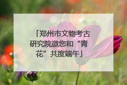 郑州市文物考古研究院邀您和“青花”共度端午