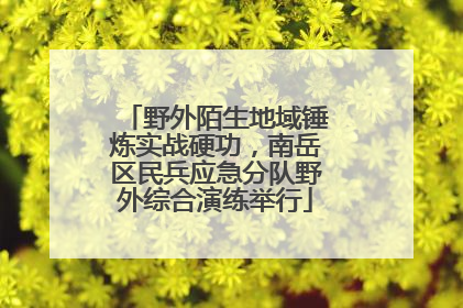 野外陌生地域锤炼实战硬功，南岳区民兵应急分队野外综合演练举行