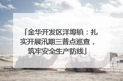 金华开发区洋埠镇：扎实开展汛期三普点巡查，筑牢安全生产防线