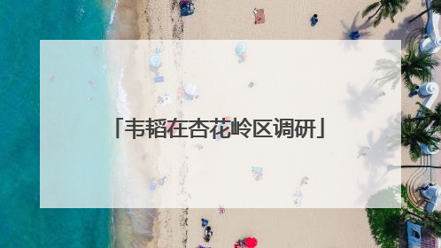 韦韬在杏花岭区调研