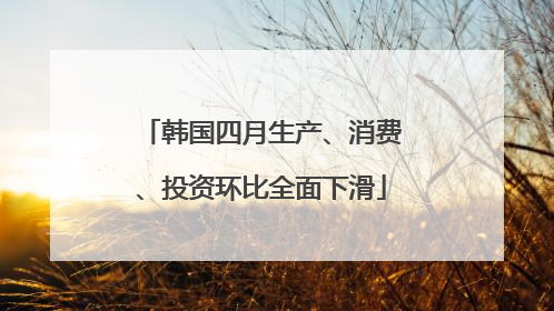 韩国四月生产、消费、投资环比全面下滑
