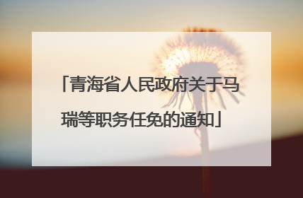 青海省人民政府关于马瑞等职务任免的通知