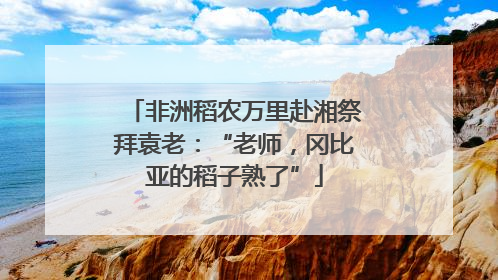 非洲稻农万里赴湘祭拜袁老：“老师，冈比亚的稻子熟了”