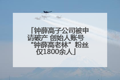 钟薛高子公司被申请破产 创始人账号“钟薛高老林”粉丝仅1800余人