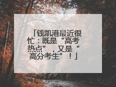 钱凯港最近很忙：既是“高考热点”，又是“高分考生”！