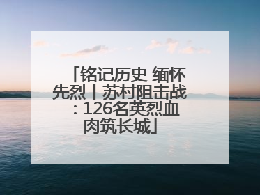 铭记历史 缅怀先烈丨苏村阻击战：126名英烈血肉筑长城