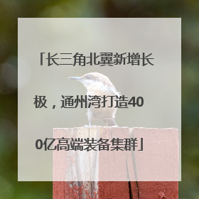 长三角北翼新增长极，通州湾打造400亿高端装备集群