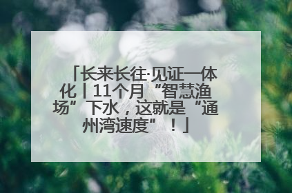 长来长往·见证一体化丨11个月“智慧渔场”下水，这就是“通州湾速度”！