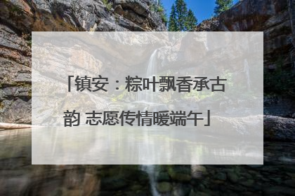 镇安：粽叶飘香承古韵 志愿传情暖端午