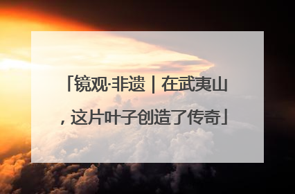 镜观·非遗｜在武夷山，这片叶子创造了传奇