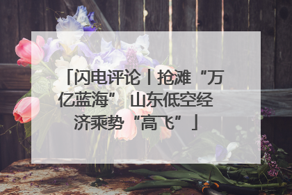 闪电评论丨抢滩“万亿蓝海” 山东低空经济乘势“高飞”
