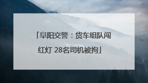 阜阳交警：货车组队闯红灯 28名司机被拘