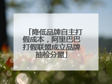 降低品牌自主打假成本，阿里巴巴打假联盟成立品牌抽检分盟