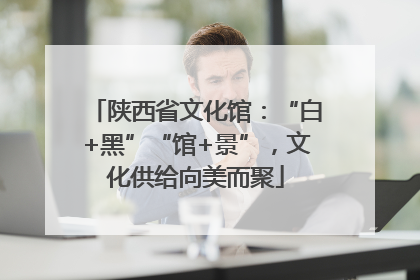 陕西省文化馆：“白+黑”“馆+景”，文化供给向美而聚