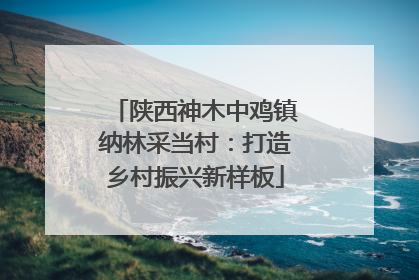 陕西神木中鸡镇纳林采当村：打造乡村振兴新样板