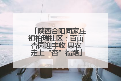 陕西合阳同家庄镇柏瑞社区：百亩杏园迎丰收 果农走上“杏”福路