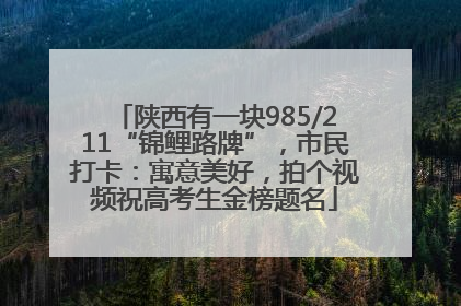 陕西有一块985/211“锦鲤路牌”，市民打卡：寓意美好，拍个视频祝高考生金榜题名