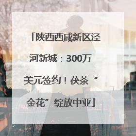 陕西西咸新区泾河新城：300万美元签约！茯茶“金花”绽放中亚