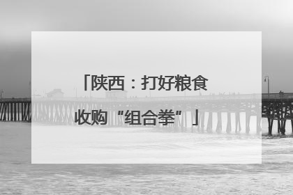 陕西：打好粮食收购“组合拳”