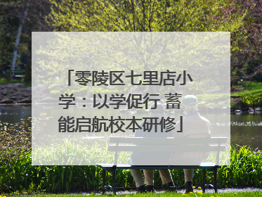 零陵区七里店小学：以学促行 蓄能启航校本研修