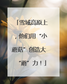 雪域高原上，他们用“小蘑菇”创造大“蘑”力！