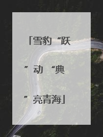 雪豹“跃”动 “典”亮青海