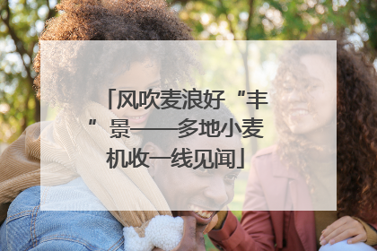 风吹麦浪好“丰”景——多地小麦机收一线见闻