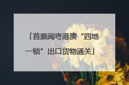 首票闽粤港澳“四地一锁”出口货物通关
