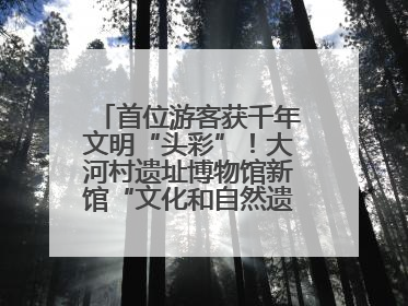 首位游客获千年文明“头彩”！大河村遗址博物馆新馆“文化和自然遗产日”璀璨启幕
