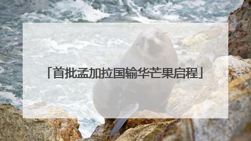 首批孟加拉国输华芒果启程