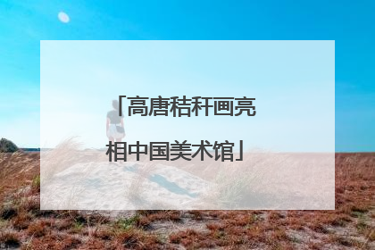 高唐秸秆画亮相中国美术馆