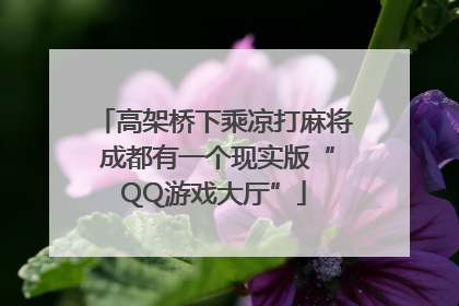 高架桥下乘凉打麻将 成都有一个现实版“QQ游戏大厅”