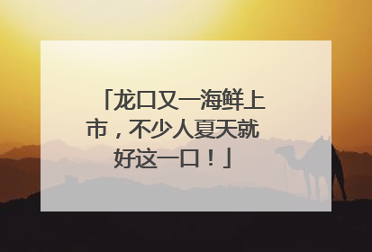 龙口又一海鲜上市，不少人夏天就好这一口！