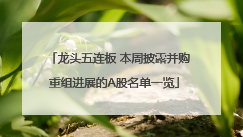 龙头五连板 本周披露并购重组进展的A股名单一览
