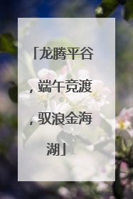 龙腾平谷，端午竞渡，驭浪金海湖
