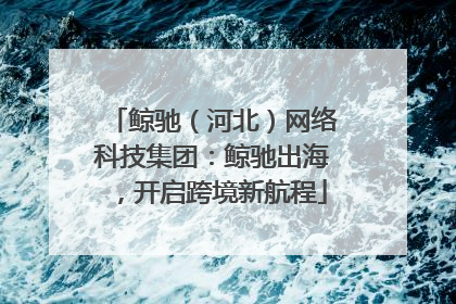 鲸驰（河北）网络科技集团：鲸驰出海，开启跨境新航程