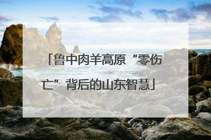 鲁中肉羊高原“零伤亡”背后的山东智慧
