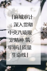 麻城审计：深入贯彻中央八项规定精神 筑牢审计质量生命线
