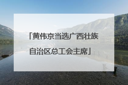 黄伟京当选广西壮族自治区总工会主席