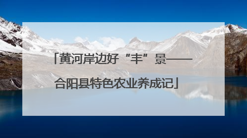 黄河岸边好“丰”景——合阳县特色农业养成记