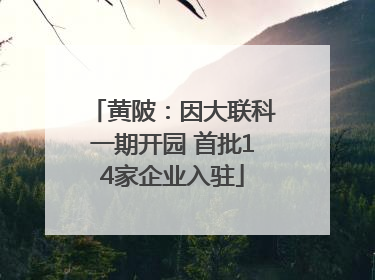 黄陂：因大联科一期开园 首批14家企业入驻
