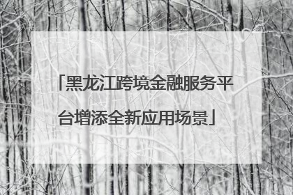 黑龙江跨境金融服务平台增添全新应用场景