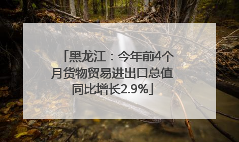 黑龙江：今年前4个月货物贸易进出口总值同比增长2.9%