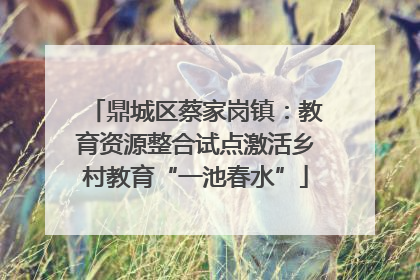 鼎城区蔡家岗镇：教育资源整合试点激活乡村教育“一池春水”