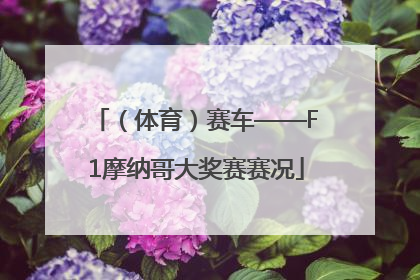 （体育）赛车——F1摩纳哥大奖赛赛况
