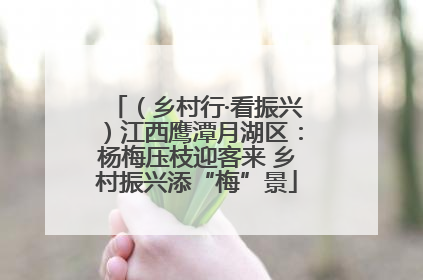（乡村行·看振兴）江西鹰潭月湖区：杨梅压枝迎客来 乡村振兴添“梅”景