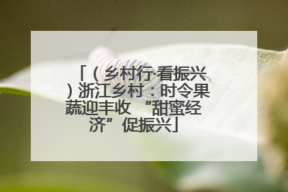（乡村行·看振兴）浙江乡村：时令果蔬迎丰收 “甜蜜经济”促振兴