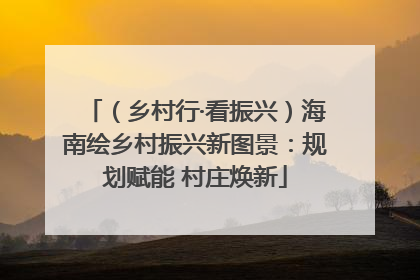 （乡村行·看振兴）海南绘乡村振兴新图景：规划赋能 村庄焕新