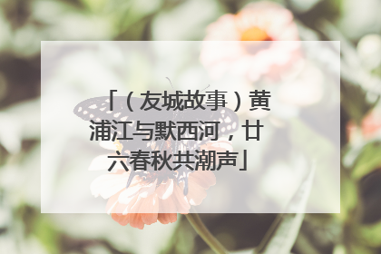 （友城故事）黄浦江与默西河，廿六春秋共潮声